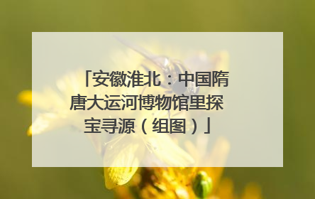 安徽淮北：中国隋唐大运河博物馆里探宝寻源（组图）