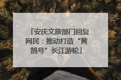 安庆文旅部门回复网民：推动打造“黄鹄号”长江游轮
