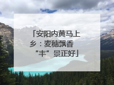 安阳内黄马上乡：麦穗飘香 “丰”景正好