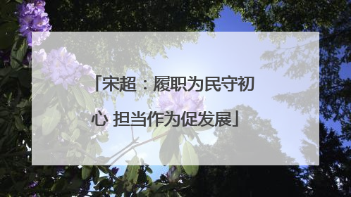宋超：履职为民守初心 担当作为促发展