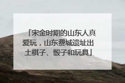 宋金时期的山东人真爱玩，山东费城遗址出土棋子、骰子和玩具