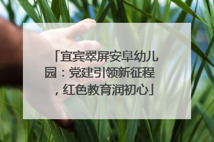 宜宾翠屏安阜幼儿园：党建引领新征程，红色教育润初心