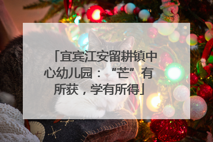 宜宾江安留耕镇中心幼儿园：“芒”有所获，学有所得