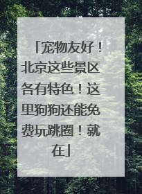 宠物友好！北京这些景区各有特色！这里狗狗还能免费玩跳圈！就在