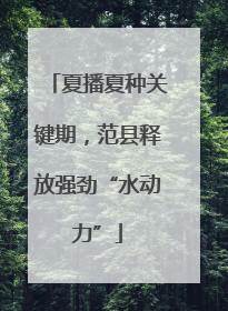 夏播夏种关键期，范县释放强劲“水动力”