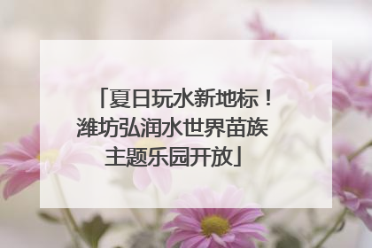 夏日玩水新地标！潍坊弘润水世界苗族主题乐园开放