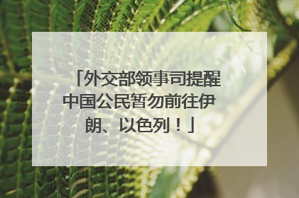 外交部领事司提醒中国公民暂勿前往伊朗、以色列！