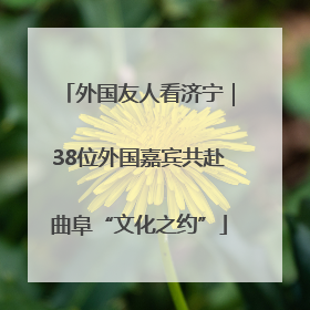 外国友人看济宁｜38位外国嘉宾共赴曲阜“文化之约”
