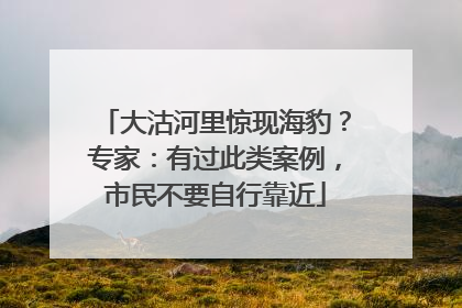 大沽河里惊现海豹？专家：有过此类案例，市民不要自行靠近