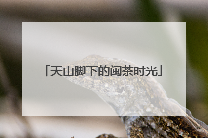 天山脚下的闽茶时光