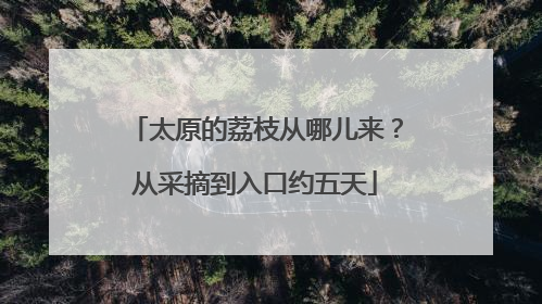 太原的荔枝从哪儿来？从采摘到入口约五天