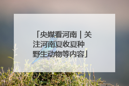 央媒看河南｜关注河南夏收夏种 野生动物等内容