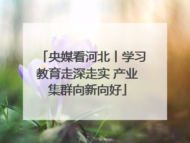 央媒看河北丨学习教育走深走实 产业集群向新向好