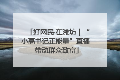 好网民·在潍坊｜“小高书记正能量”直播 带动群众致富