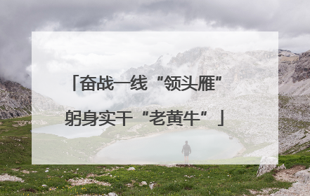 奋战一线“领头雁” 躬身实干“老黄牛”