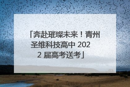 奔赴璀璨未来！青州圣维科技高中 2022 届高考送考