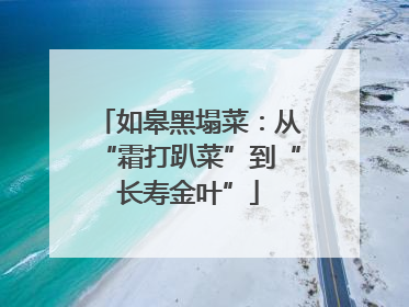 如皋黑塌菜：从“霜打趴菜”到“长寿金叶”