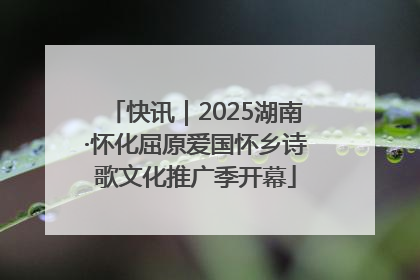快讯｜2025湖南·怀化屈原爱国怀乡诗歌文化推广季开幕