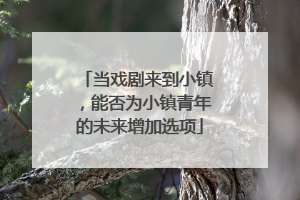 当戏剧来到小镇，能否为小镇青年的未来增加选项