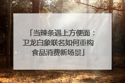 当辣条遇上方便面：卫龙白象联名如何重构食品消费新场景