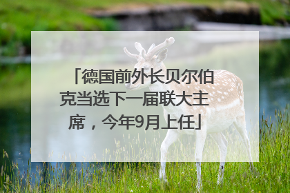 德国前外长贝尔伯克当选下一届联大主席，今年9月上任