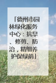德州市园林绿化服务中心：抗旱、修剪、防治，精细养护保绿荫