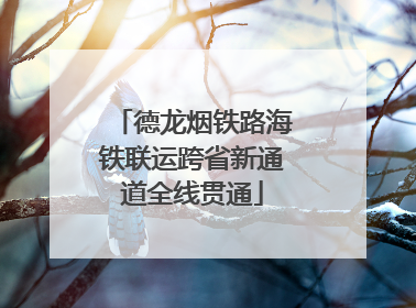 德龙烟铁路海铁联运跨省新通道全线贯通
