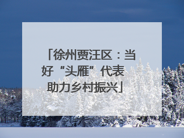 徐州贾汪区：当好“头雁”代表 助力乡村振兴