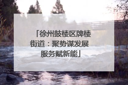徐州鼓楼区牌楼街道：聚势谋发展 服务赋新能