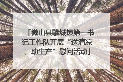 微山县驩城镇第一书记工作队开展“送清凉、助生产”慰问活动