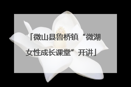 微山县鲁桥镇“微湖女性成长课堂”开讲
