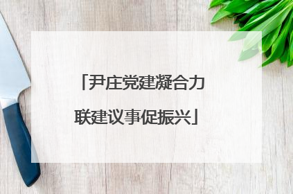 尹庄党建凝合力 联建议事促振兴