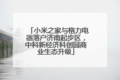 小米之家与格力电器落户济南起步区，中科新经济科创园商业生态升级