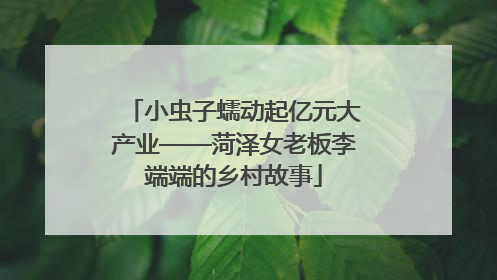 小虫子蠕动起亿元大产业——菏泽女老板李端端的乡村故事