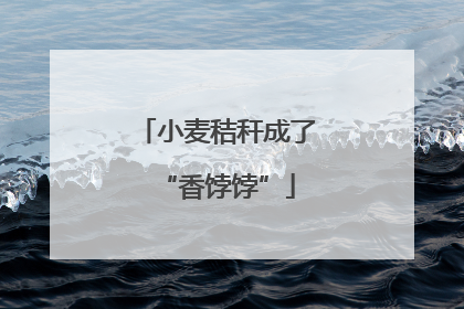 小麦秸秆成了“香饽饽”