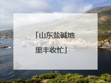 山东盐碱地里丰收忙