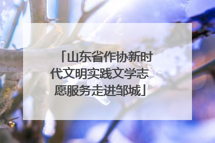 山东省作协新时代文明实践文学志愿服务走进邹城