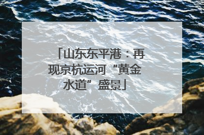 山东东平港：再现京杭运河“黄金水道”盛景