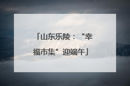 山东乐陵：“幸福市集”迎端午