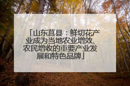 山东莒县：鲜切花产业成为当地农业增效、农民增收的重要产业发展和特色品牌