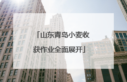 山东青岛小麦收获作业全面展开