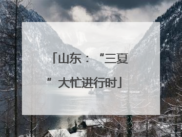 山东：“三夏”大忙进行时