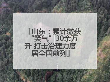 山东：累计缴获“笑气”30余万升 打击治理力度居全国前列