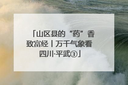 山区县的“药”香致富经丨万千气象看四川·平武③