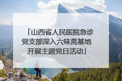 山西省人民医院急诊党支部深入六味斋基地开展主题党日活动