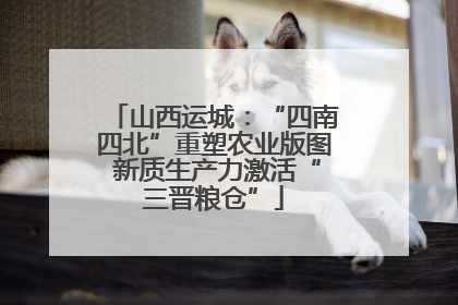 山西运城：“四南四北”重塑农业版图 新质生产力激活“三晋粮仓”