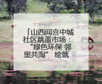 山西闻喜中城社区跳蚤市场：“绿色环保 邻里共淘” 绘就社区生活多彩画卷