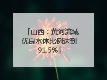 山西：黄河流域优良水体比例达到91.5%