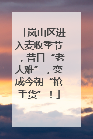 岚山区进入麦收季节，昔日“老大难”，变成今朝“抢手货”！