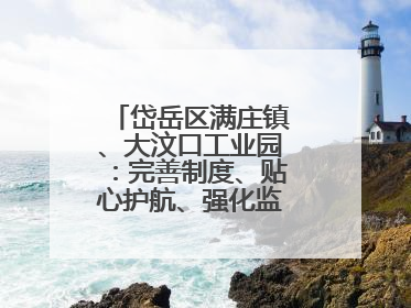岱岳区满庄镇、大汶口工业园：完善制度、贴心护航、强化监管，打造优质营商“强磁场”